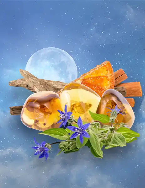 To the Moon Clean Fragrance - Clean Fragrances